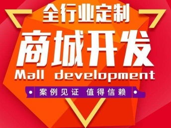 图 镇江 商城系统开发搭建 济南图书 音像 软件